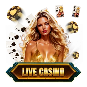 PB_BINGO_LIVE_CASINO